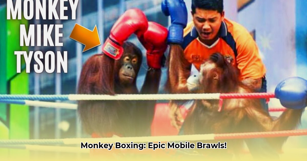 monkey-boxing